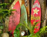 Surfboards