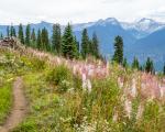 Kootenay Rockies