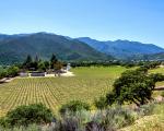 Vinmarker i Carmel Valley