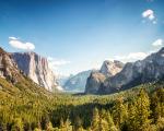 Sommer i Yellowstone
