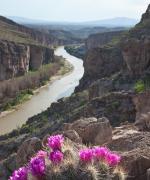 Big Bend national park